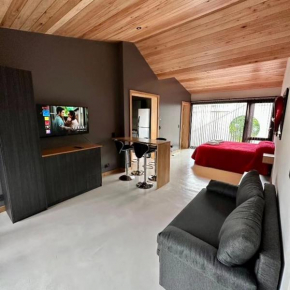 Amplio Monoambiente, cálido y moderno zona centro San Martin De Los Andes